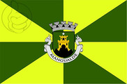 Bandera de Mangualde