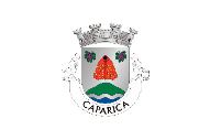 Bandera de Caparica