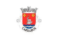 Bandera de Capeludos