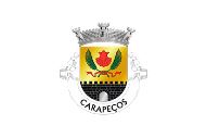 Bandera de Carapeços