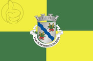 Bandera de Moimenta da Beira