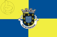Bandera de Mortágua