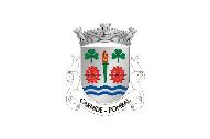 Bandera de Carnide (Pombal)