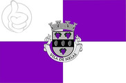 Bandera de Nelas