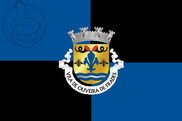 Bandera de Oliveira de Frades