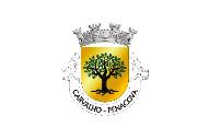 Bandera de Carvalho (Penacova)