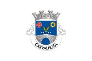 Bandera de Carvalhosa
