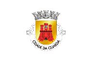 Bandera de Casal de Cinza