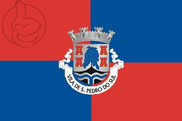 Bandera de São Pedro do Sul, Portugal