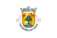 Bandera de Castanheira do Vouga