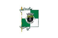 Bandera de Castro Daire (freguesia)