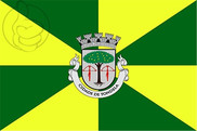 Bandera de Tondela