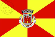 Bandera de Viseu