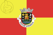 Bandera de Vouzela