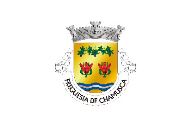 Bandera de Chamusca (freguesia)