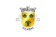 Bandera de Ciladas