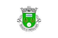 Bandera de Condeixa-a-Nova (freguesia)