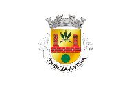 Bandera de Condeixa-a-Velha