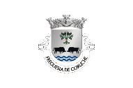 Bandera de Coruche (freguesia)