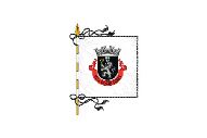 Bandera de Cucujães