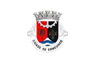Bandera de Ermesinde