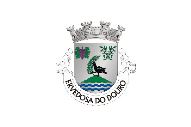 Bandera de Ervedosa do Douro