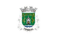 Bandera de Espinhal