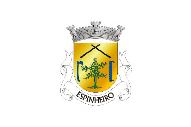 Bandera de Espinheiro