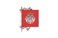 Bandera de Espinho (Braga)