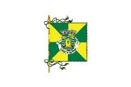 Bandera de Espinho (freguesia)