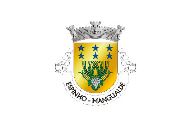 Bandera de Espinho (Mangualde)
