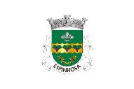 Bandera de Espinhosa