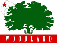 Bandera de Woodland, California