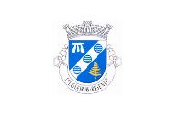 Bandera de Felgueiras (Resende)