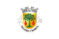 Bandera de Figueira e Barros