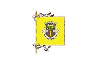 Bandera de Freixo de Espada à Cinta (freguesia)