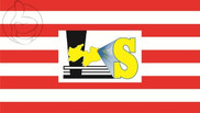 Bandera de Solânea