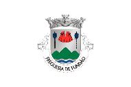 Bandera de Fundão (freguesia)