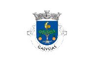 Bandera de Galveias