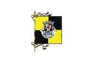Bandera de Grândola (freguesia)