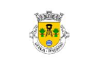 Bandera de Granja (Penedono)