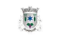 Bandera de Guadalupe (Santa Cruz da Graciosa)