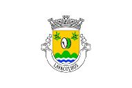 Bandera de Lavacolhos