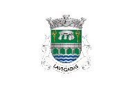 Bandera de Lavegadas