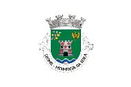 Bandera de Leomil (Moimenta da Beira)