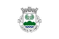 Bandera de Louriçal do Campo