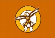 Bandera de Laguna Pueblo