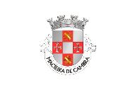 Bandera de Macieira de Cambra
