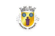 Bandera de Madalena (Amarante)