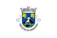 Bandera de Madalena (Madalena)